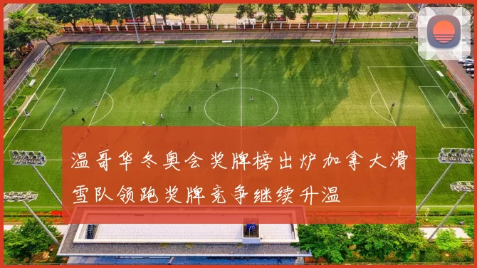 温哥华冬奥会奖牌榜出炉加拿大滑雪队领跑奖牌竞争继续升温
