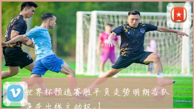世界杯预选赛胜平负走势明朗各队争夺出线主动权_1